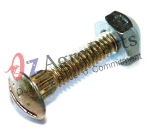 Nuts & Bolts 1/4" thick & 1" long